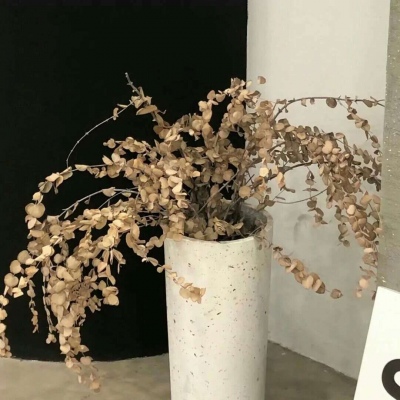 Furry兽圈美学分享FurryQQ群